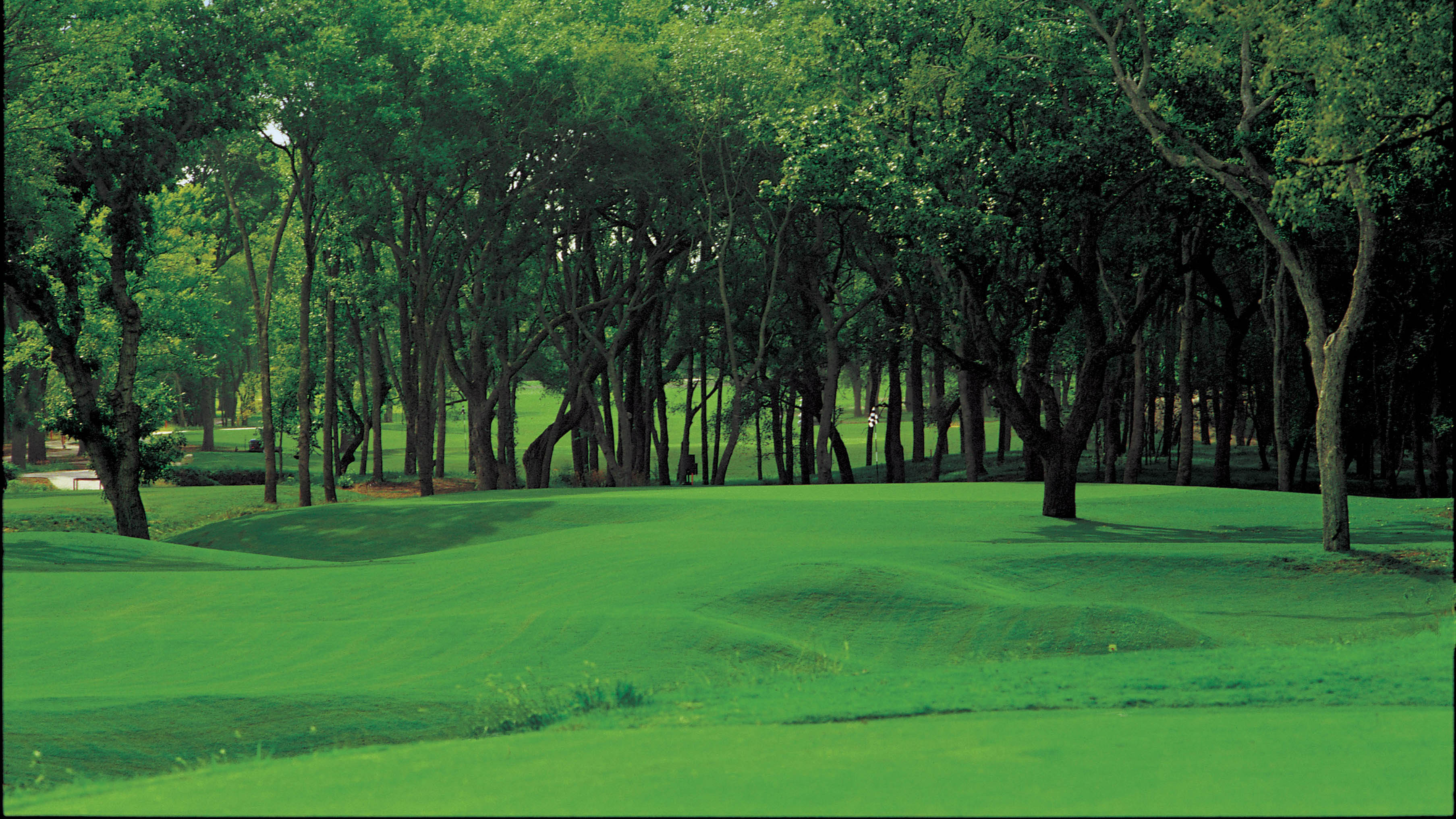 DallasFort Worth Golf Course The Golf Club at Champions Circle